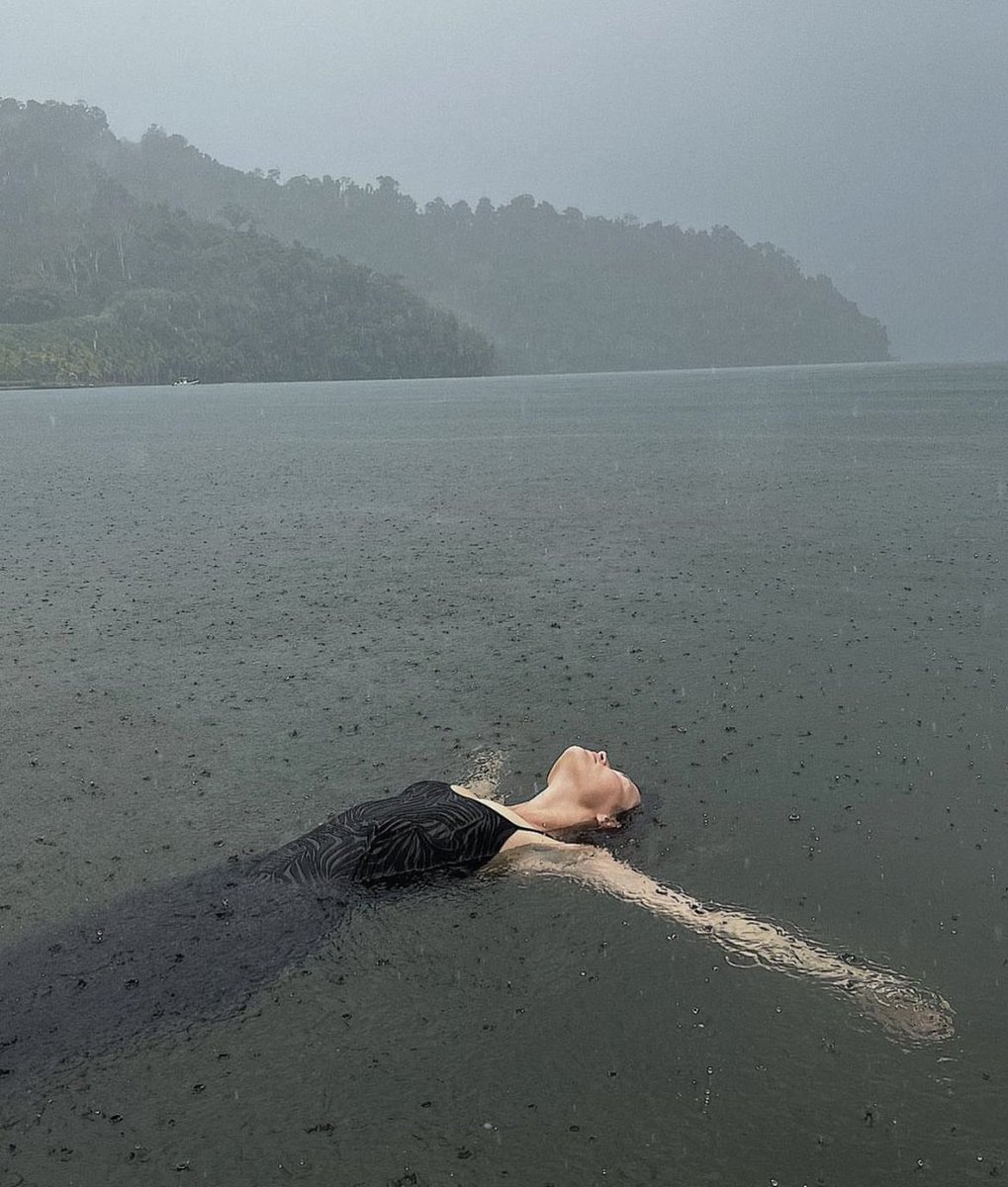 Butterflless's tweet image. 