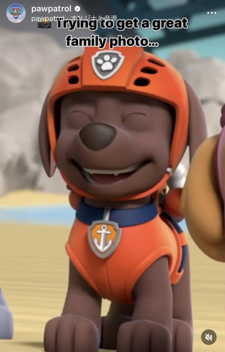 パウパパ@パウ・パトロール全話観た人 (@pawfectpapa) / Posts / X