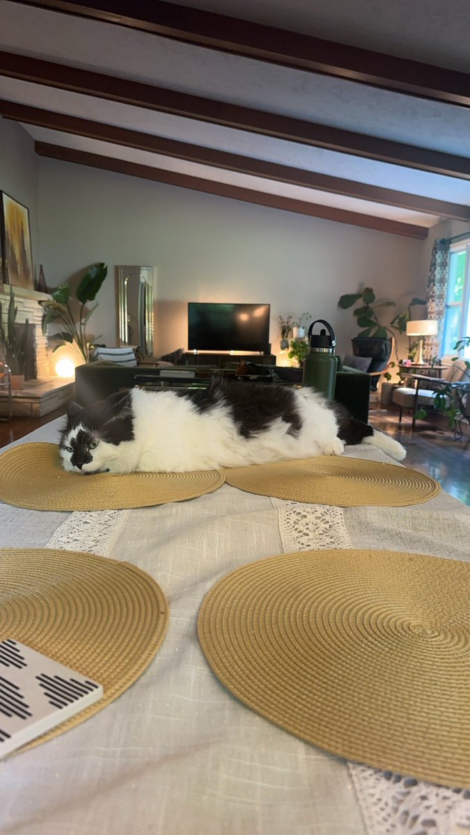 水生動物のような見た目