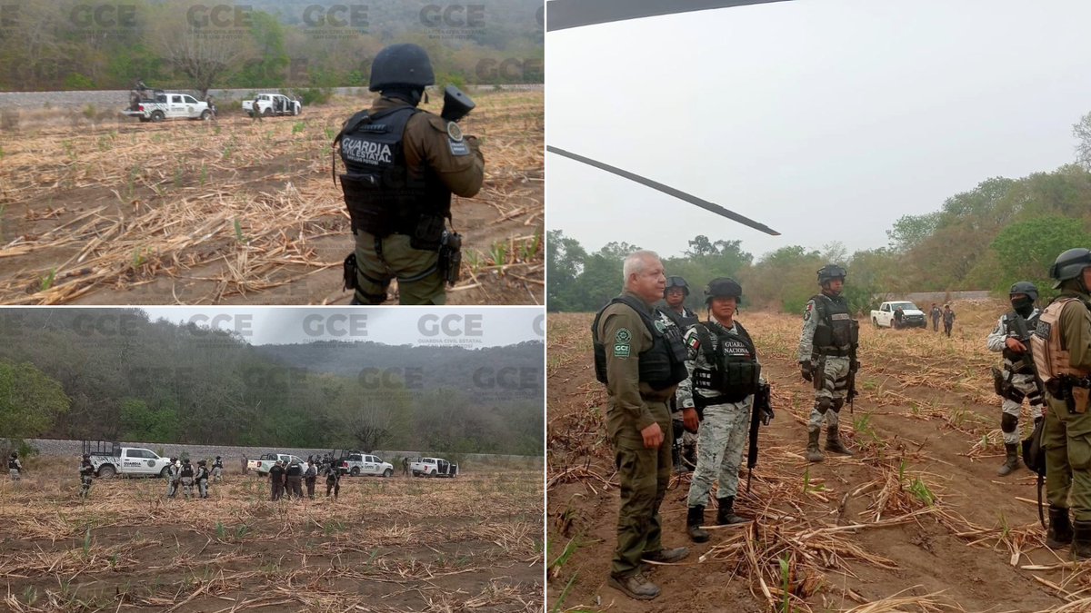 En un reciente enfrentamiento armado en la localidad de Agua Buena, perteneciente al municipio de Tamasopo, un efectivo del Ejército Mexicano perdió la vida, informó la Secretaría de Seguridad y Protección Ciudadana del Estado. El incidente ocurrió la tarde de este martes,