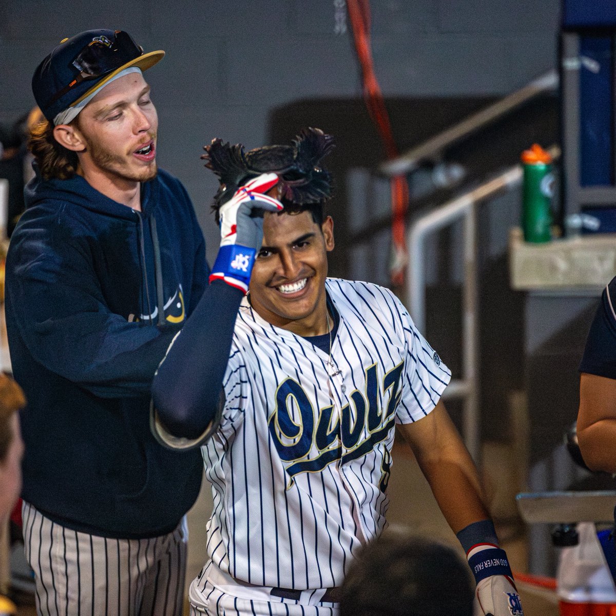 Northern Colorado Owlz tweet media