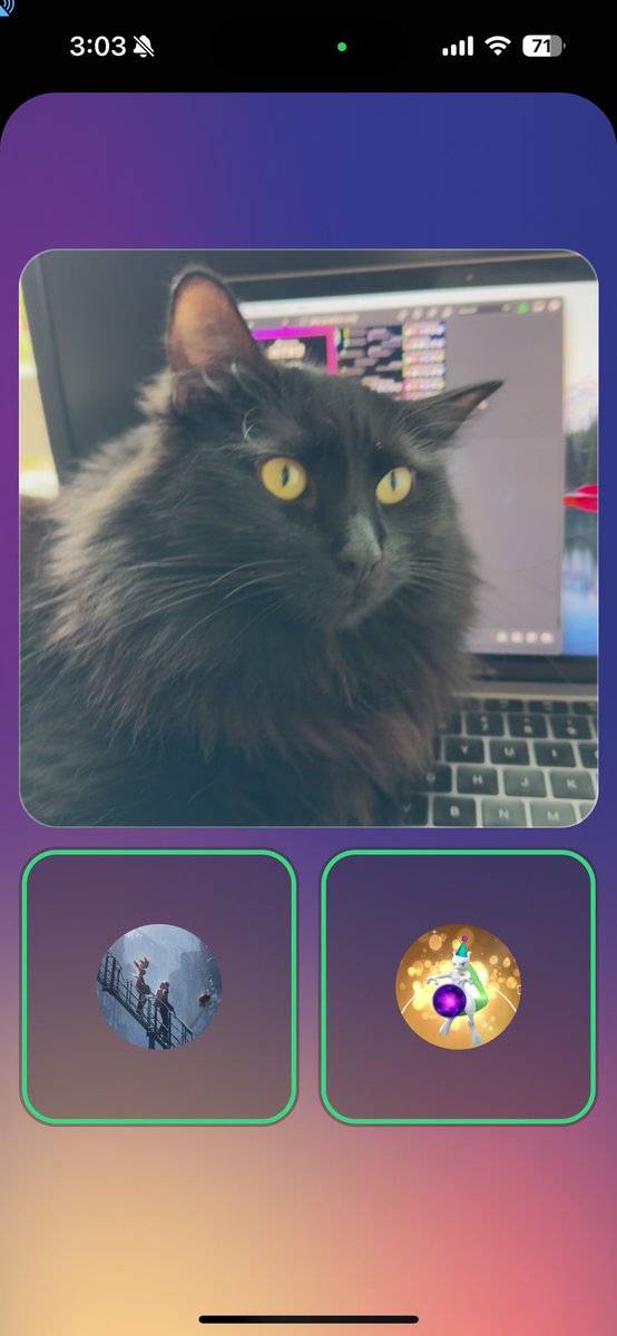 Big things in plan 🐈‍⬛