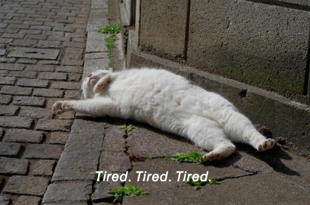 artistryhere's tweet image. .