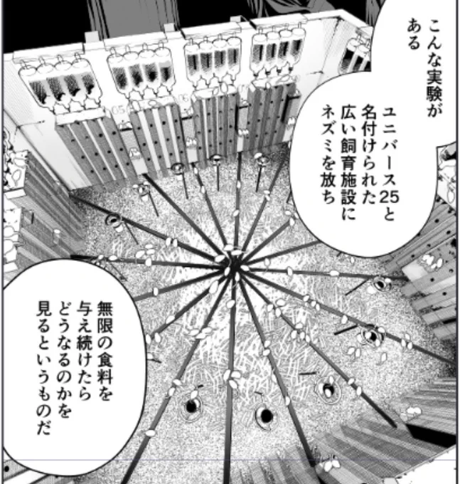 明日(5/30)の『あくまでクジャクの話です。』の更新は単行本作業のためお休みをいただきます。申し訳ございません第2巻ではおまけマンガの掲載を予定しております。書影まだですが既に予約できますので何卒!(↓おまけマンガ作画中) 