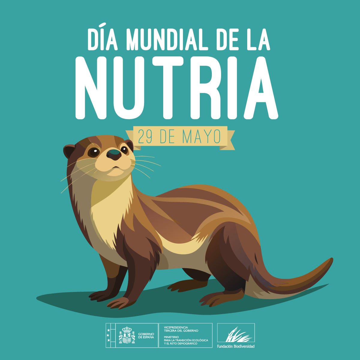 La nutria ('Lutra lutra') está incluida en la Lista Roja de la @IUCN con la categoría de casi amenazada.

La contaminación de los ríos y la destrucción de su hábitat, suponen para este mamífero semiacuático la pérdida de zonas de refugio, cría y alimentación.