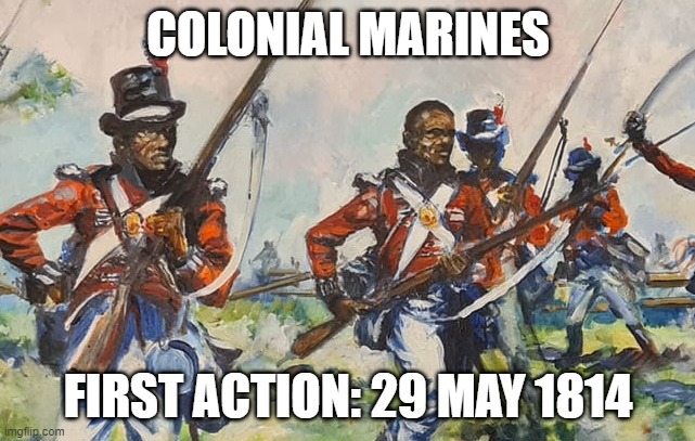 Today in 1814, the Colonial Marines - black Americans who joined the British in the War of 1812 - went into action for the first time as a unit at Pungoteague Creek #Virginia. They spoiled an attempt by American militia to counter-attack, covering the escape of the raiding party.