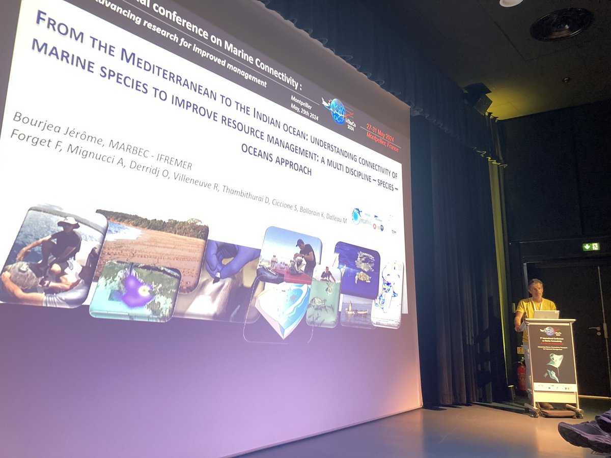 ADarnaude's tweet image. How unraveling species lifetime connectivity can improve management of marine resources &amp;amp; biodiversity… Great talk by Jerome Bourjea from ⁦@umrMARBEC⁩ at the #imarco2024 connectivity conference organized by ⁦@SeaUnicorn2020⁩ under the ⁦@UNOceanDecade⁩ umbrella