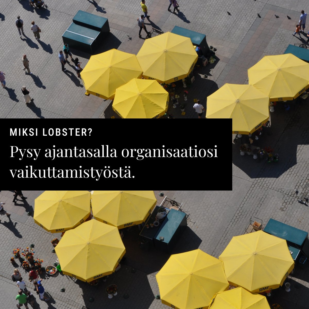 Lobster on suunniteltu yhteistyöhön, joten tiedot vaikuttajakontakteista ovat saatavilla jokaiselle tiimisi jäsenelle. Ajantasaisilla kirjauksilla organisaation muisti karttuu, ja bonuksena saat avoimuusrekisterin toimintailmoituksen tiedot käyttöösi muutamalla klikkauksella.