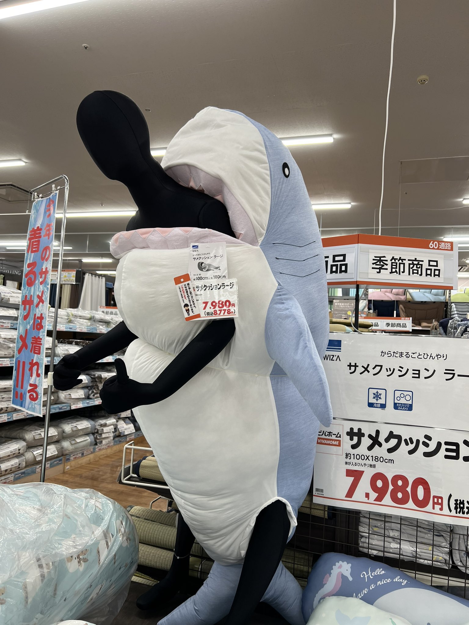 こばち on X: こばち on X: