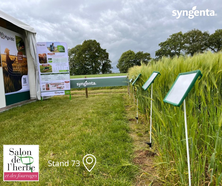 [#Salondel'herbeetdesfourrages2024 📢]

💥 Jour J : Prêts à vous accueillir au Salon de l'herbe et des fourrages !

Les experts Syngenta vous attendent pour parler Hyvido®, orges fourragères au service de votre exploitation 🌾

📍 Rdv stand N°73 !

 👉 bit.ly/3ULqeYD