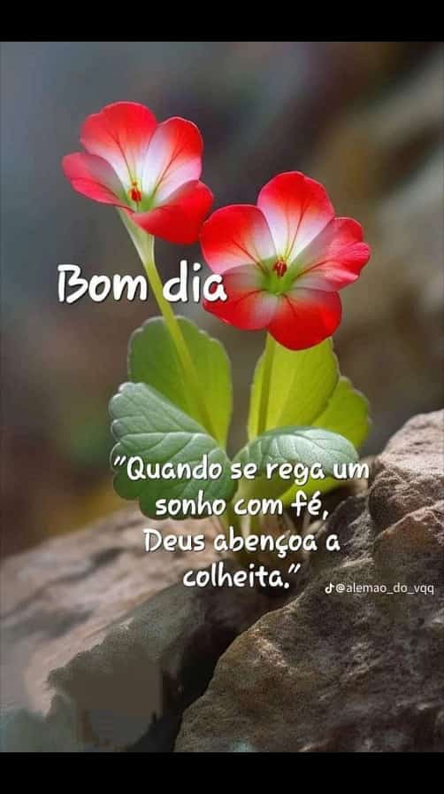 Bom dia, abençoada quarta-feira Amigos!
E diante de todos obstáculos e adversidades que surgem na vida... em vez de chorar ou desistir... respire fundo e diga:
Ainda bem que eu tenho fé! 
Ainda bem que eu tenho Deus! Que a Graça e o Amor de Deus sejam sobre você e sua família!🙏