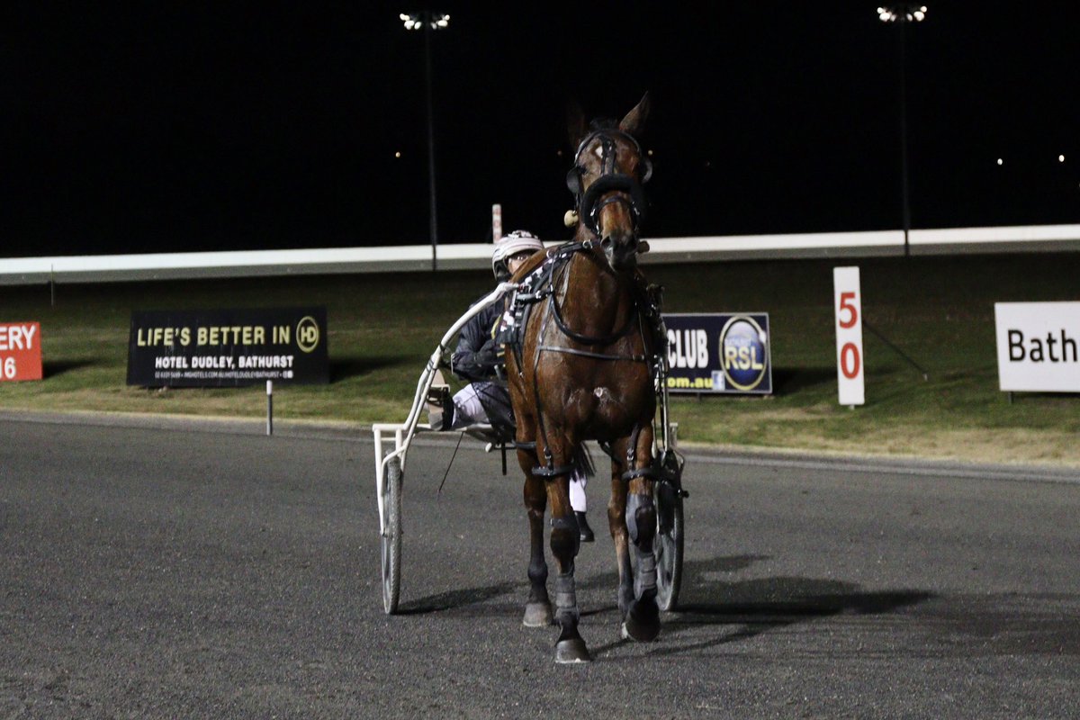 🥇The Ashlee Grives trained and driven GISSELLE has taken out the CONGRATULATIONS AMANDA TURNBULL - DRIVER OF THE YEAR PACE.

🥈| HAZZA IS WATCHING
🥉| PUPPETEER

Congratulations 👏