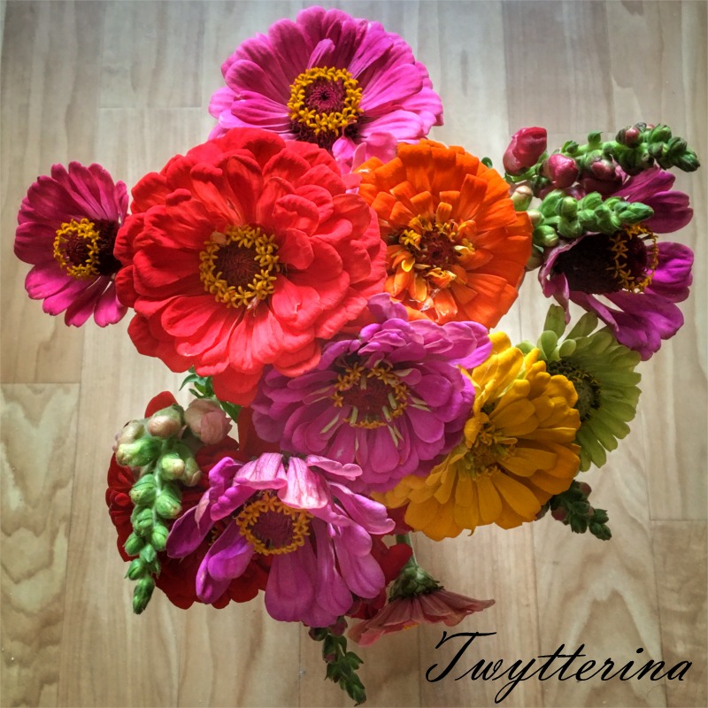 Share your flower photos with us! 🌹