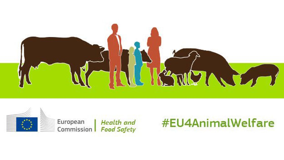 On June 17 & 18 will take place the next #EU4AnimalWelfare Platform meeting with @Food_EU 🪿🇪🇺
Euro #FoieGras will be closely following these discussions over the future of #animalwelfare in the EU 🧐
The agenda is available here 👇
food.ec.europa.eu/document/downl…