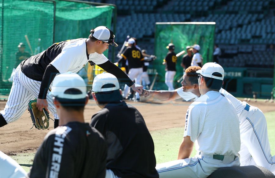 #lovefighters
#阪神タイガース
神奈川の高校でしのぎを削った同級生。甲子園での健闘を誓い合いました😅#侍チームメート
#万波中正　#横浜
#森下翔太    #東海大相模