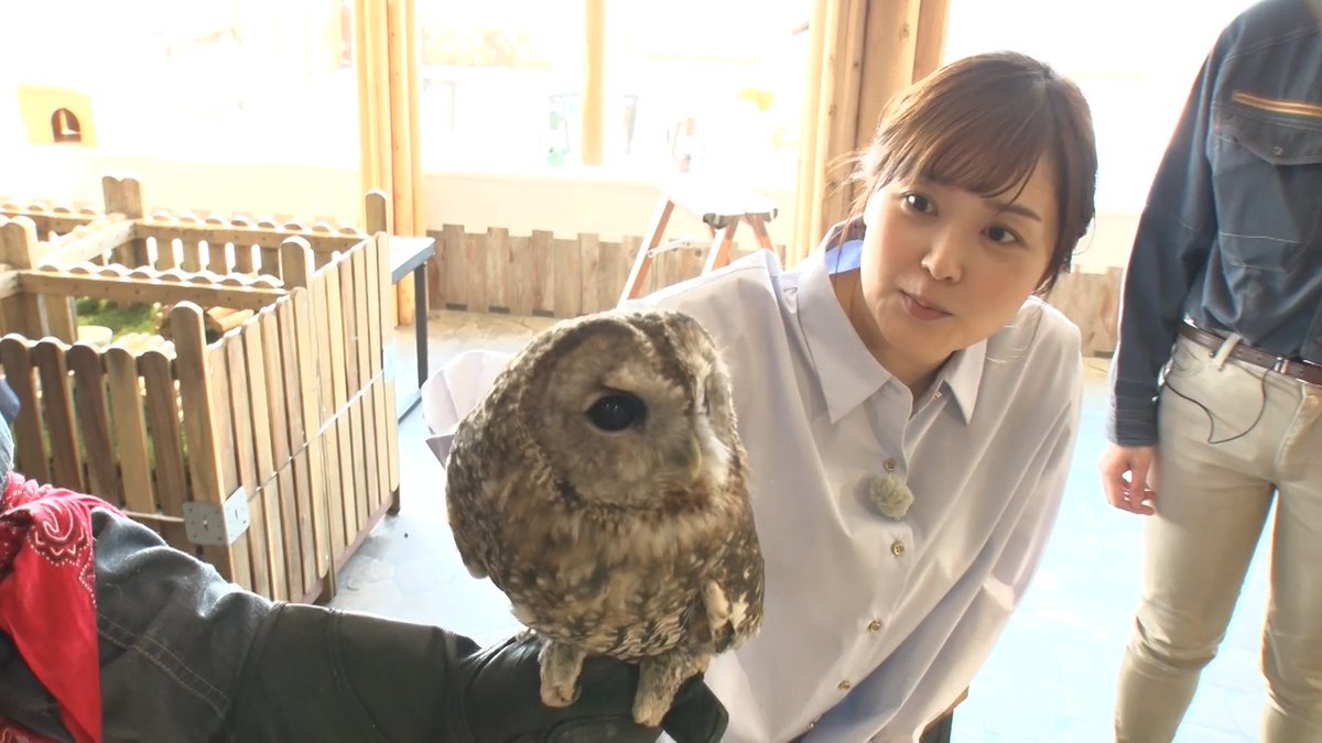 ZIP! 【公式】 on X: 