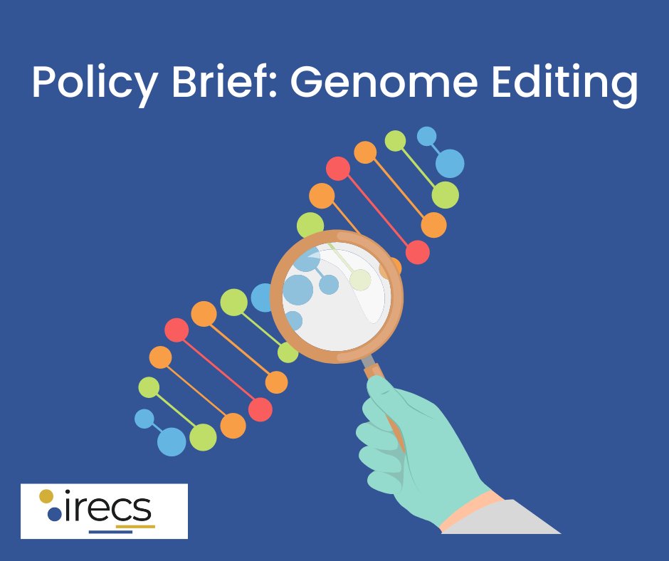 Genome editing (GE) changes the DNA of an organism, introducing new traits or suppressing unwanted ones. GE projects pose challenges for Research Ethics Committees. Our policy brief outlines key issues of GE and recommendations for risk mitigation: irp.cdn-website.com/5f961f00/files…