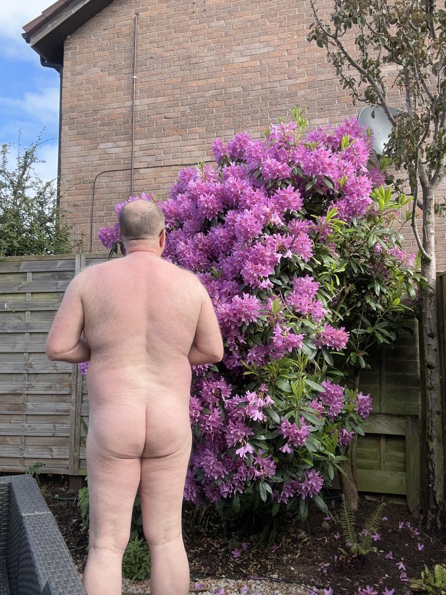 Happy hump day all. Love the colour in our rhododendron, the bees are living it again this year.