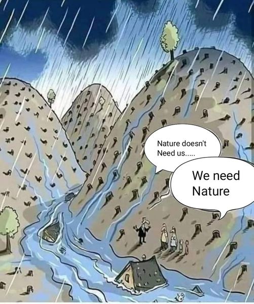 Dear people of Manipur 🙏. As Hon'ble CM N.Biren Singh emphasized, "We must plant more trees 🌳 and redevelop our Reserved Forest Areas." 🌳 Today we suffer, but if we don't act, next time will be worse. #ClimateAction #ReforestManipur <a href="/Sana10Meitei/">sanajaoba</a> <a href="/NBirenSingh/">N. Biren Singh</a> <a href="/BJP4Manipur/">BJP Manipur</a>