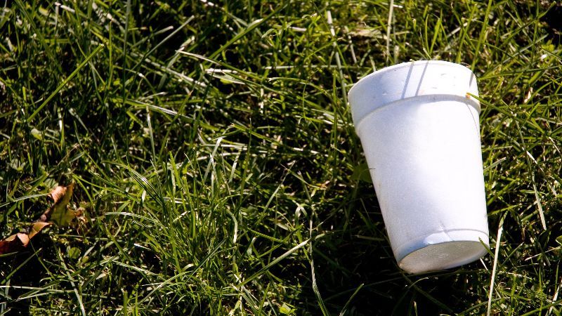 Abu Dhabi to ban specific Styrofoam products from June 1 #MiddleEast #AbuDhabi #styrofoam buff.ly/4e16NDE