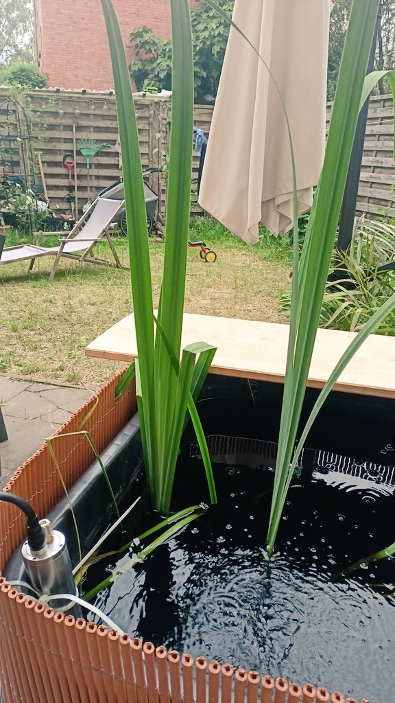 Philipp Maurischat tweet media