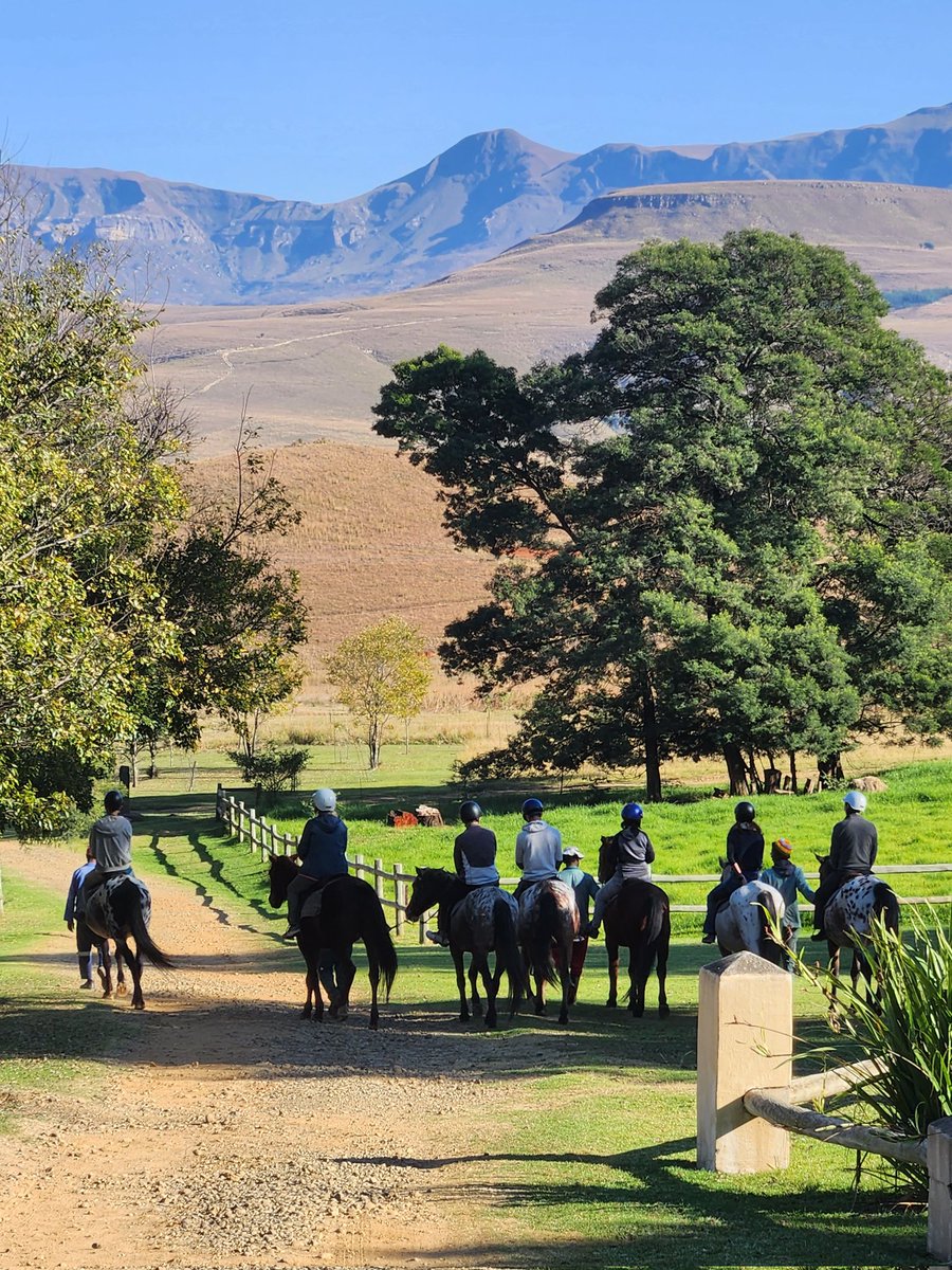 And away they go!
Trail seeking, exploring on horseback, competant guides to lead the way. 
berghouse.co.za 
.
.
.
#horseriding #explore #trails #guided