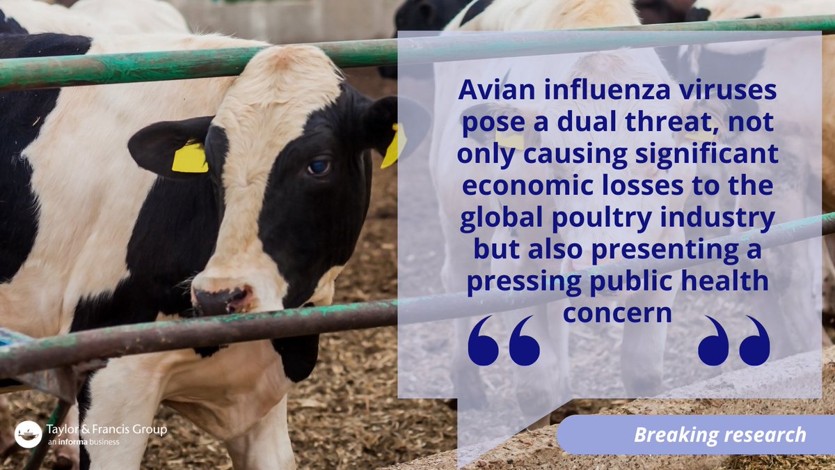 Taylor&Francis News (@tandfnewsroom) on Twitter photo #BirdFlu: Diverse range of vaccines platforms “crucial” for enhancing human pandemic preparedness, suggests new review of research to-date.
<a href="/FlavioCFaccin/">Flavio Cargnin Faccin</a> et al's study launches following second case of avian influenza spreading from cows to humans⚠️
tandfonline.com/doi/full/10.10… #BirdFlu: Diverse range of vaccines platforms “crucial” for enhancing human pandemic preparedness, suggests new review of research to-date.
<a href="/FlavioCFaccin/">Flavio Cargnin Faccin</a> et al's study launches following second case of avian influenza spreading from cows to humans⚠️
tandfonline.com/doi/full/10.10…