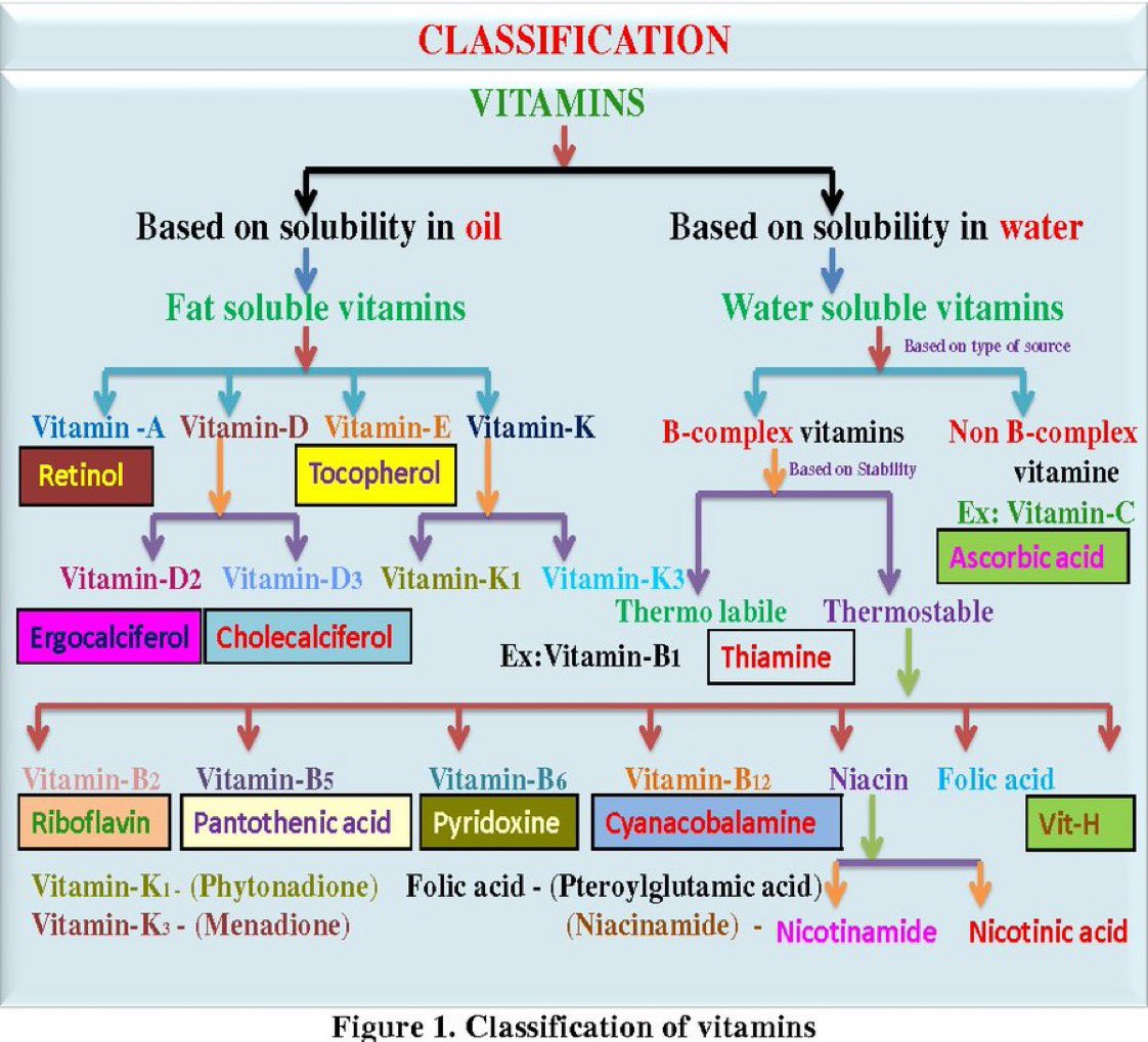 Vitamin classification

#Vitamin #Nutrition #nutrients