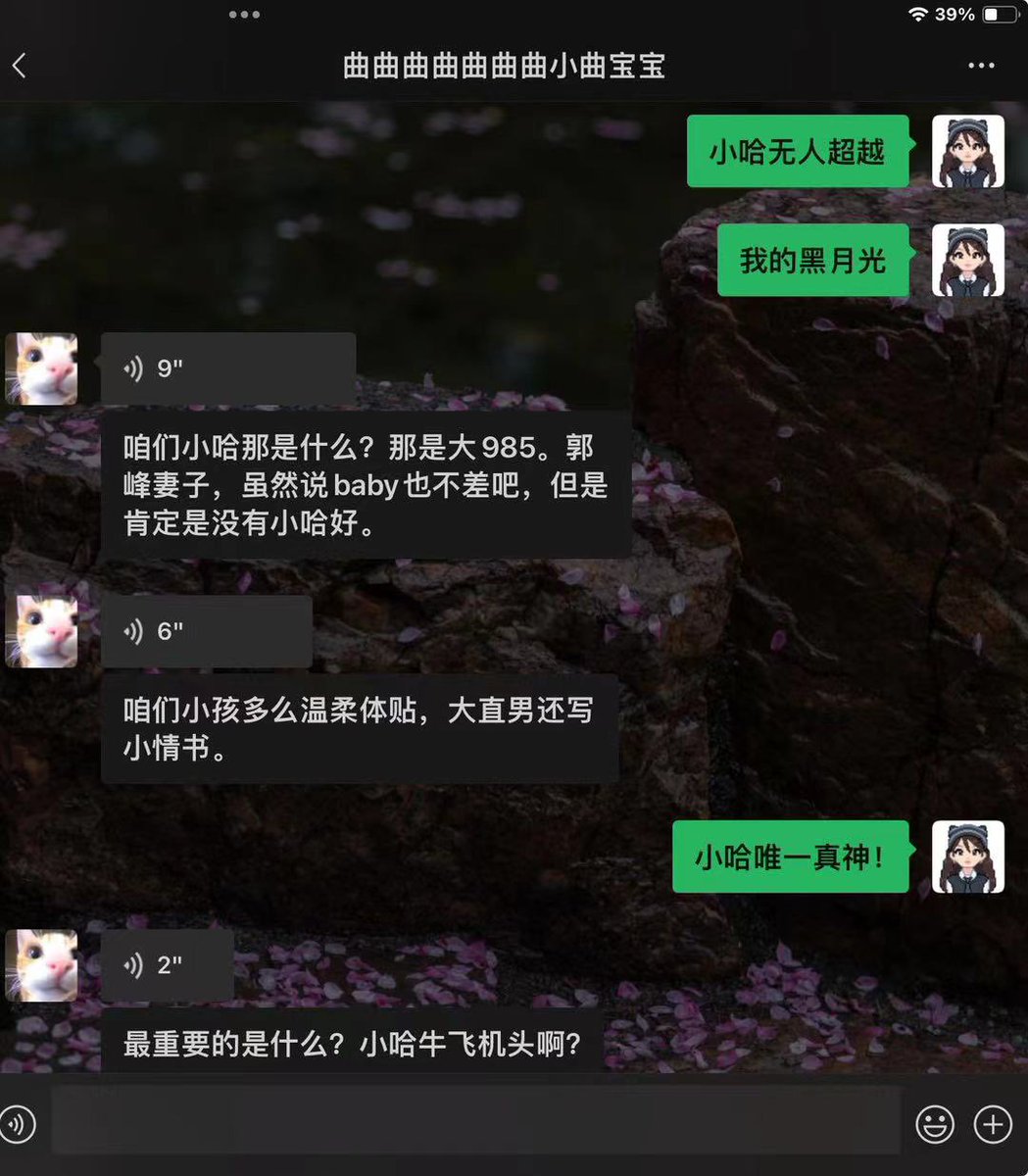 太搞笑了！
小哈唯一真神！