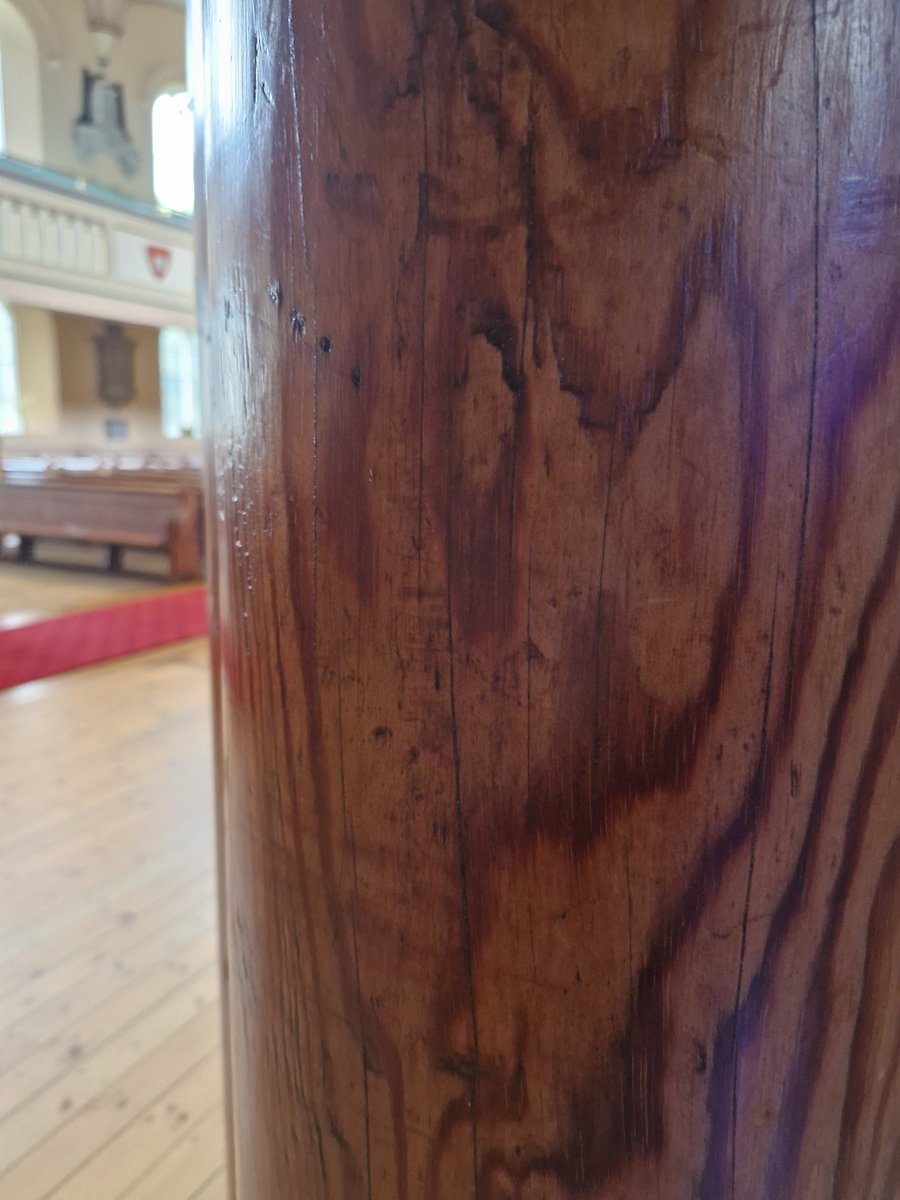 Bittersweet discovery at St James Church, Poole, where the pillars are made from Newfoundland pine. A pine that was strip-mined to practical extinction by the turn of the 20th century, as explored in this article in @IndependentNL theindependent.ca/commentary/in-…