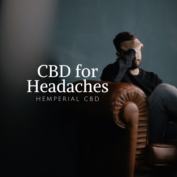 HemperialCBD's tweet photo. Unraveling the Potential of CBD for Headaches: A Comprehensive Guide
https://t.co/8TONJw8KBb https://t.co/b21j3WrpZd