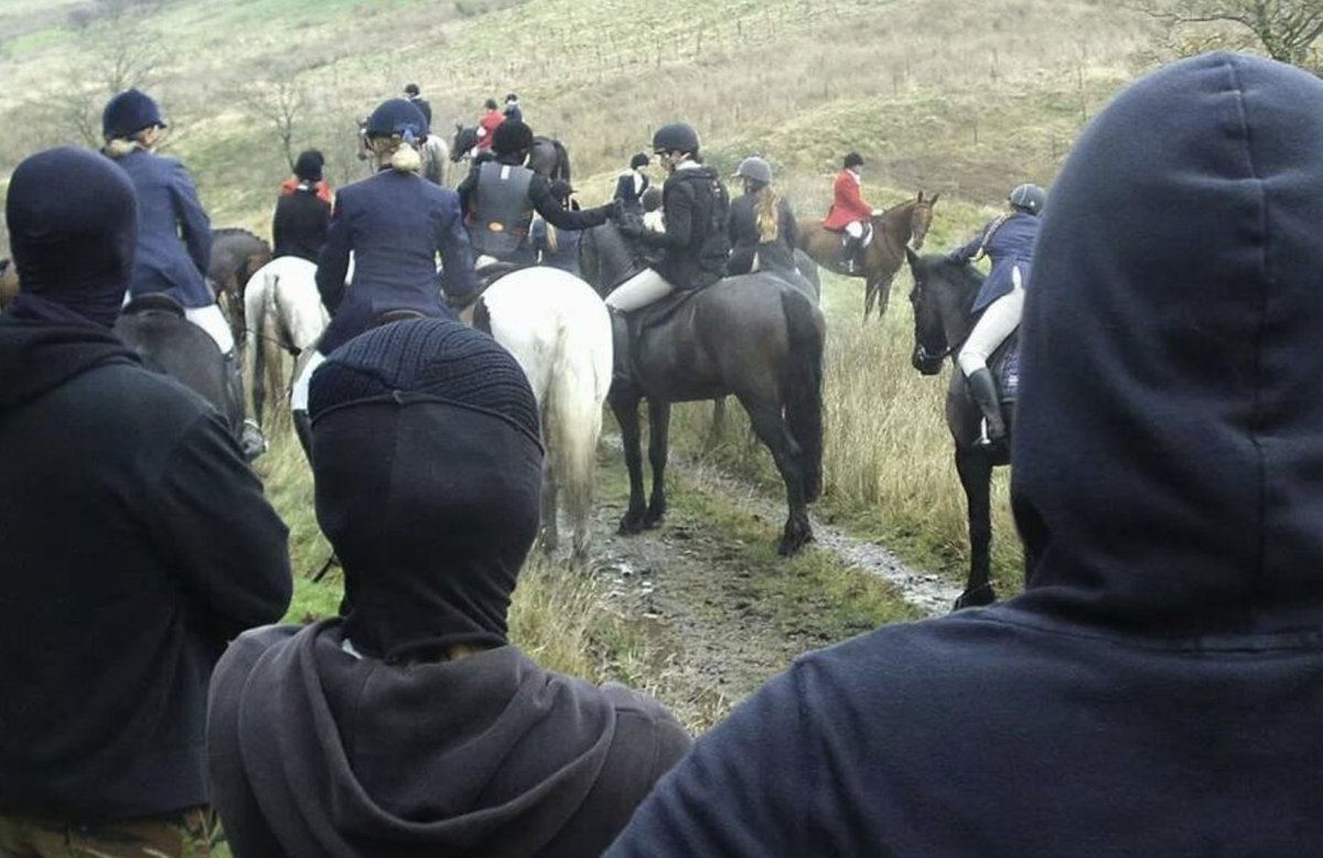 YOU can make a difference too!
📢 During a fox hunt, protect the foxes by:
Pretending you've seen a fox to misdirect the hunt.
Calling hounds with sharp commands.
Taking stray hounds to the police.
Using sprays and noise to confuse the hounds.
#UCanimals
nwhsa.org.uk/sabbing_a_fox_…