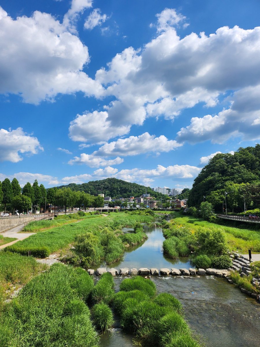 김종봉 tweet media