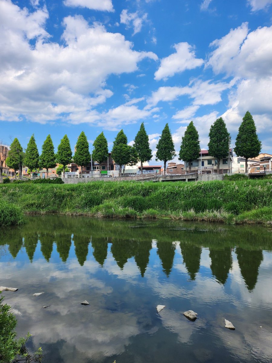 축복합니다♡
덕분입니다♡

전주천~*
