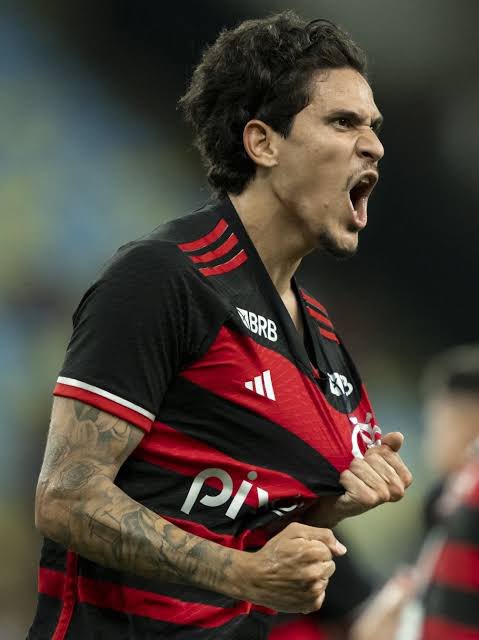 Na lista de maiores artilheiros do Flamengo na história da Libertadores, Pedro está apenas 7 gols atrás de Gabigol. 

Passa quando, nação???