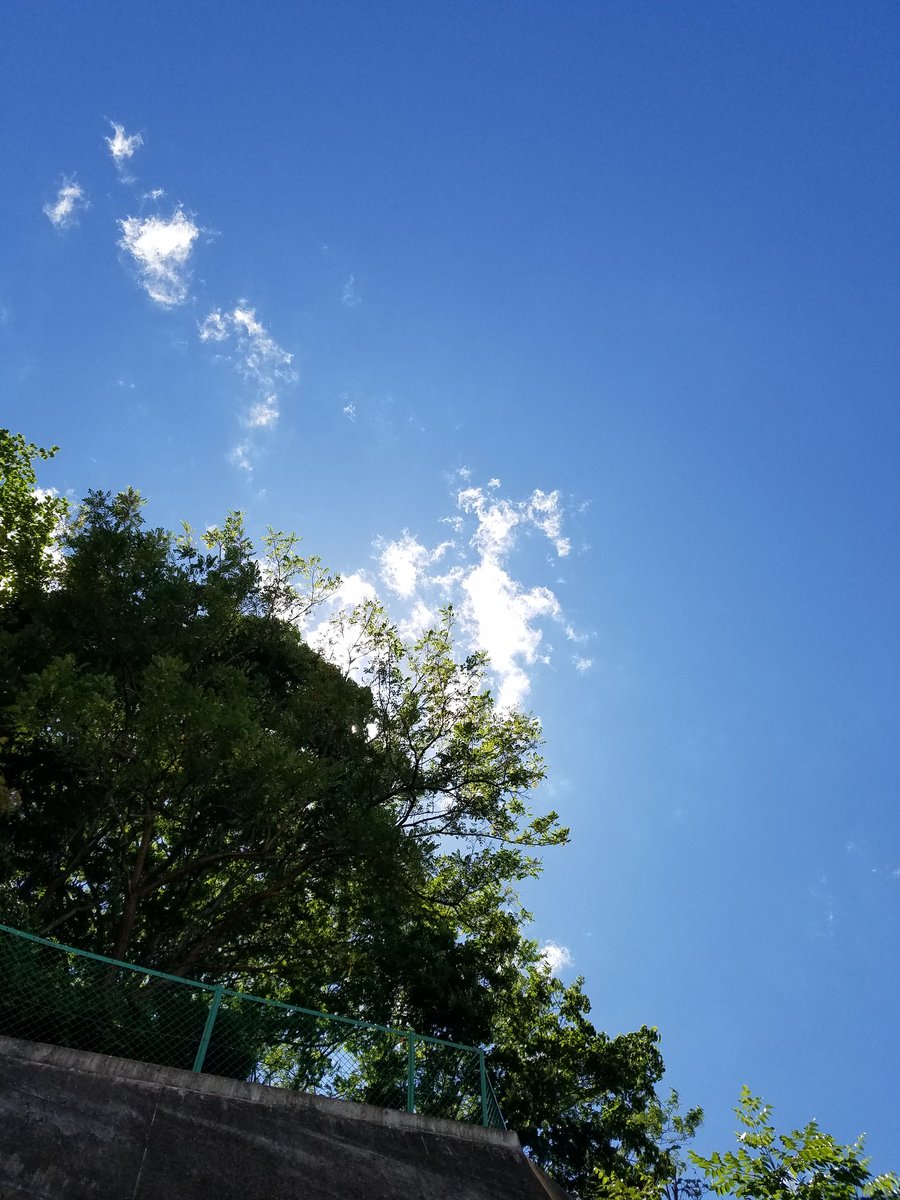 #rfc天気  
#ftvみんなの天気  
#イマソラ 
#全開朝撮  
#空ネット 
いわき湯本、晴れ強風

昼頃から晴れて、今はスッゴい夏空
眩しいし暑いけど、日陰は涼しい