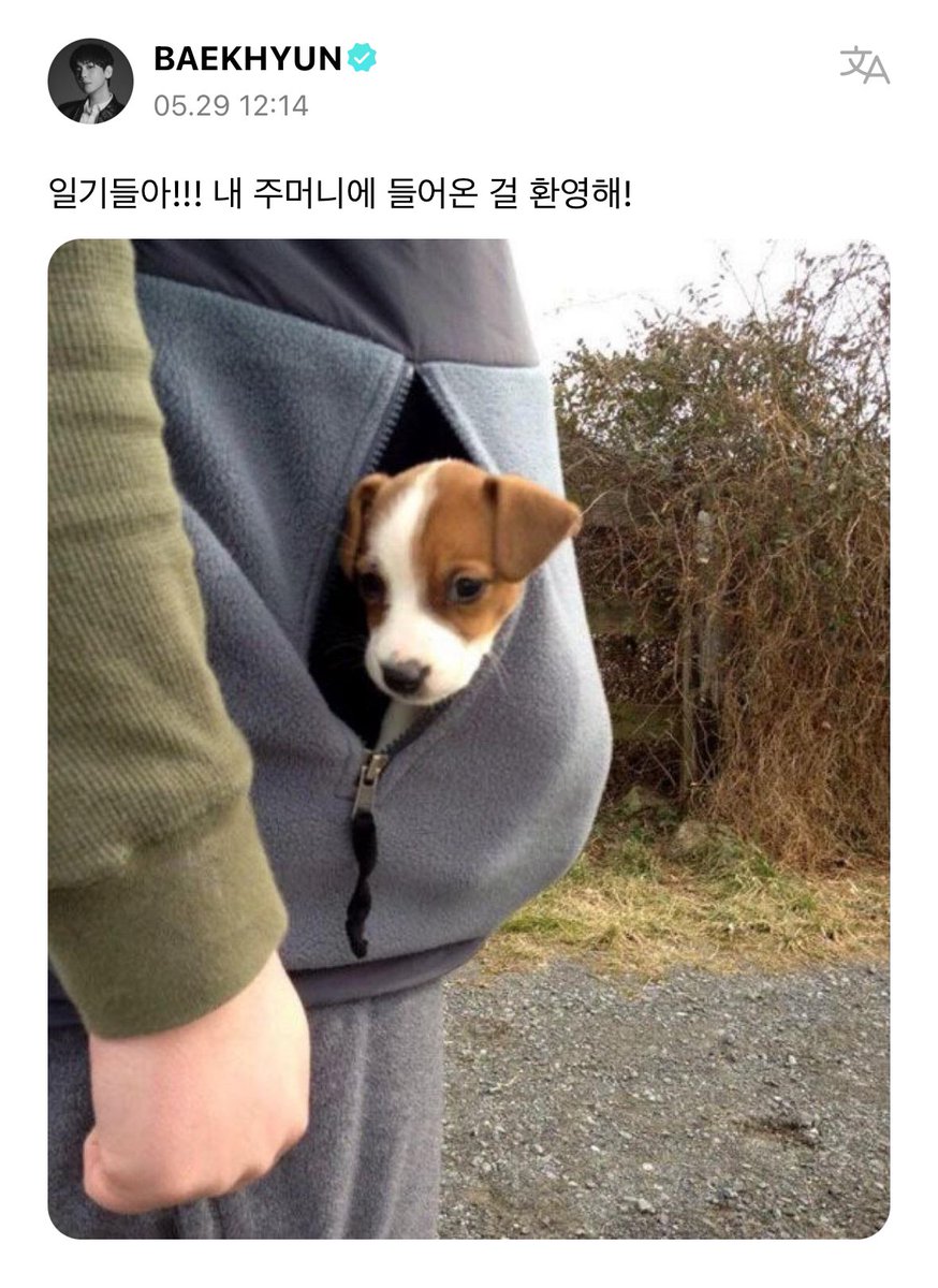 qtpiebyunbaek's tweet photo. 240529 BAEKHYUN WEVERSE

Baekhyun: 1st generation (members)!!! Welcome to my pocket! https://t.co/v9gluGUCKP