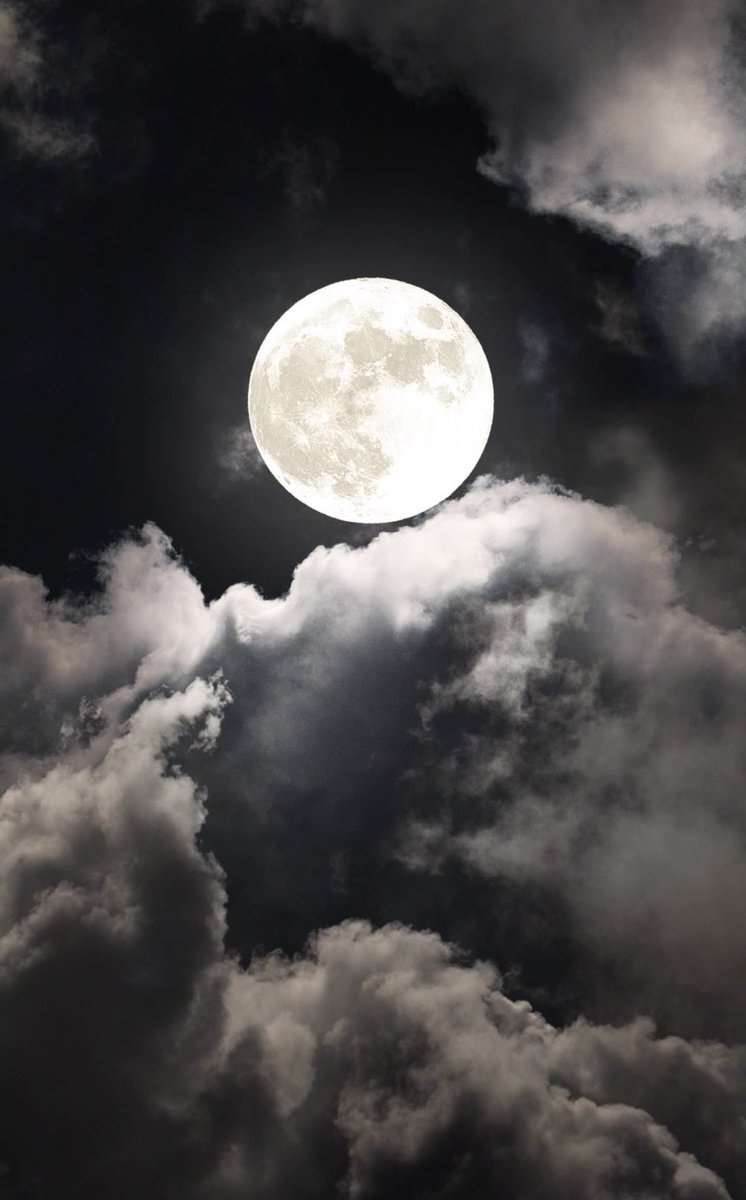 MOON LOVER (@m1onlover) on Twitter photo 