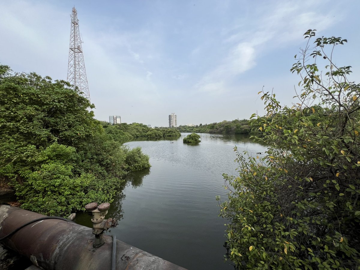 Fabiola🌻 tweet media