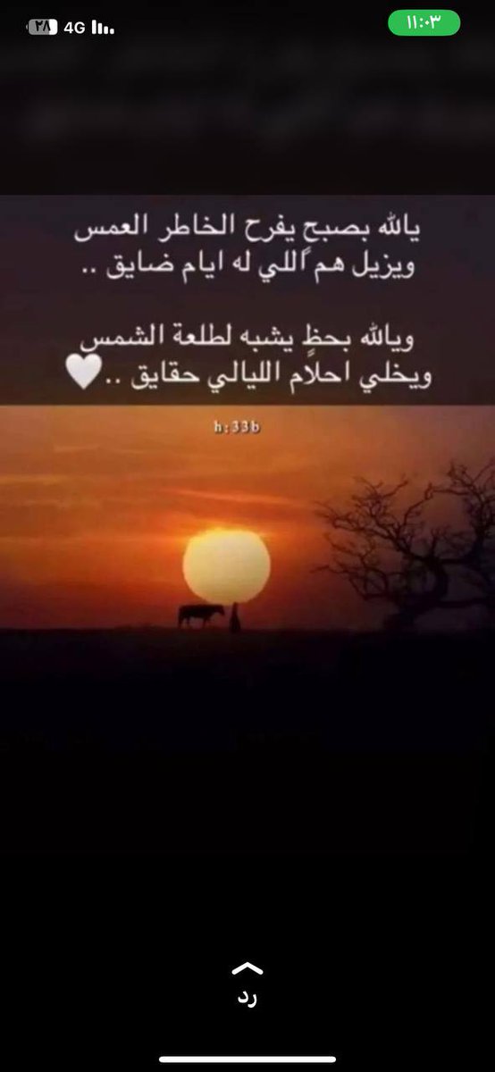 #صباح_الخير_والسعاده 🌿🕊