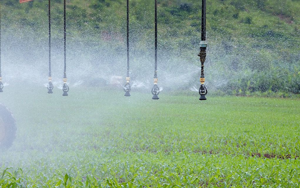 The implementation of climate-smart agriculture practices has enhanced resilience to climate change impacts, ensuring food security and sustainable livelihoods for rural communities. #RwandaAgriculture #PKNiWowe #RPFOnTop