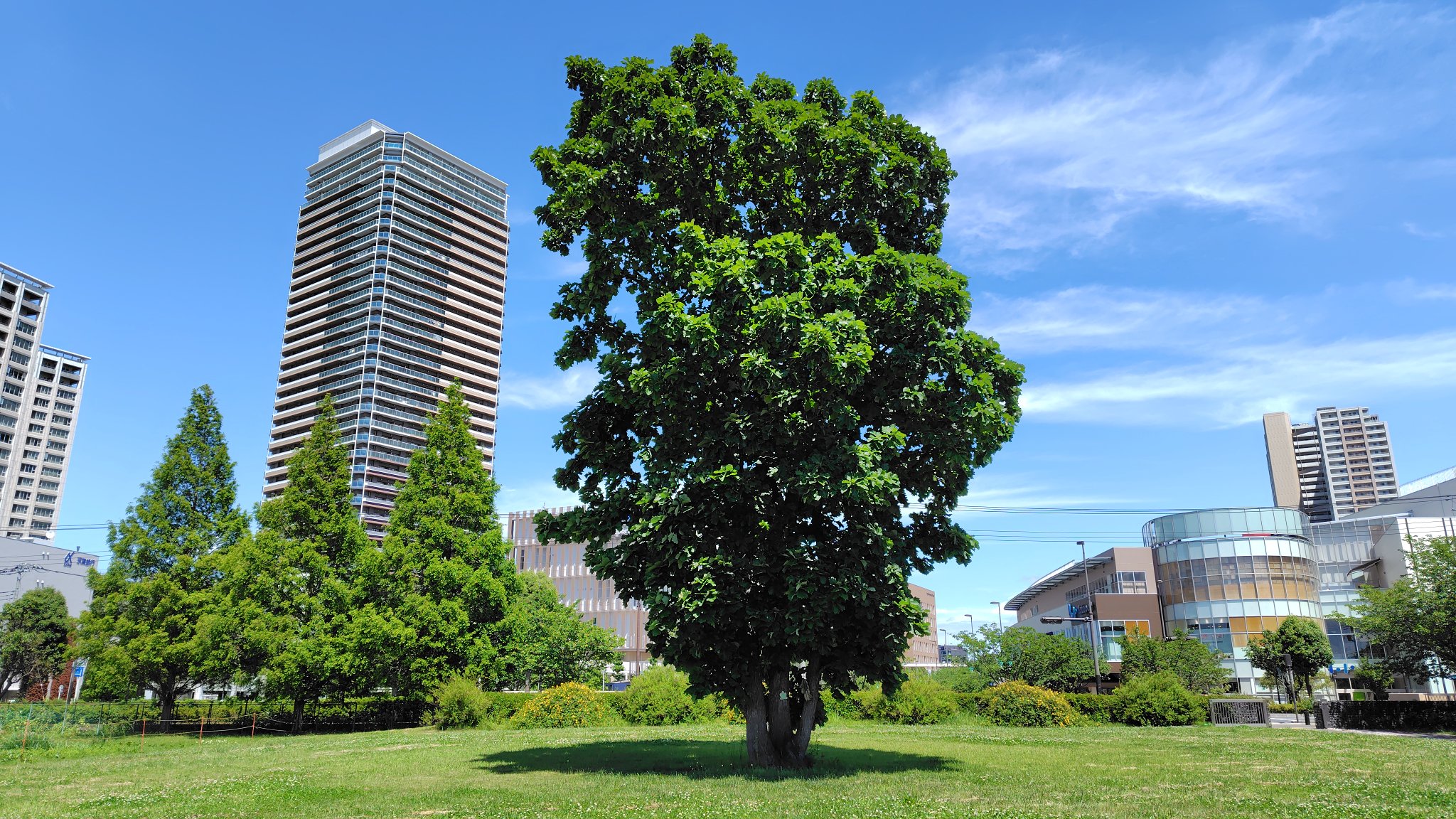 muji@TX13 (@ezt01346) / X