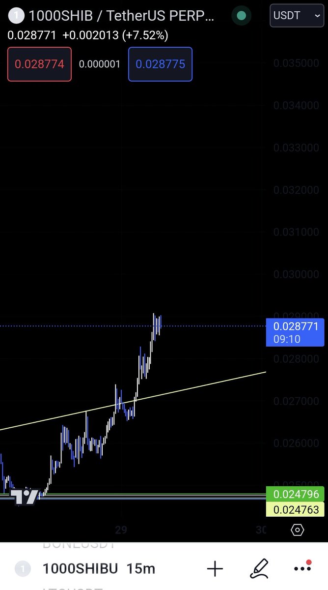 #shibarmy #shibainu 
Goood mooorning 🥳