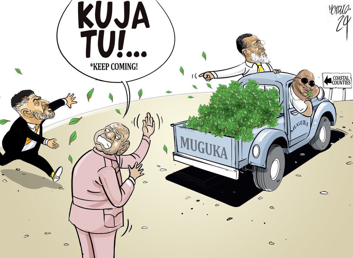 ndula_victor's tweet image. Cartoon for @NationAfrica  #Muguka