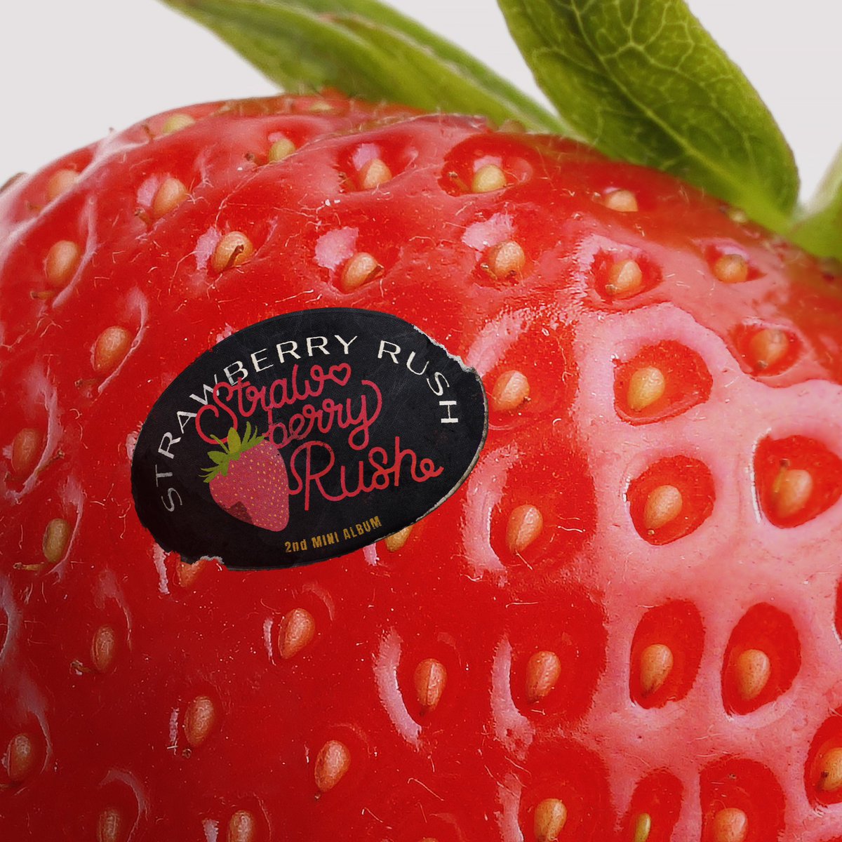 PopBase's tweet photo. LOONA's Chuu will release her second mini album ‘Strawberry Rush’ on June 25th. https://t.co/PJndrEqtI8