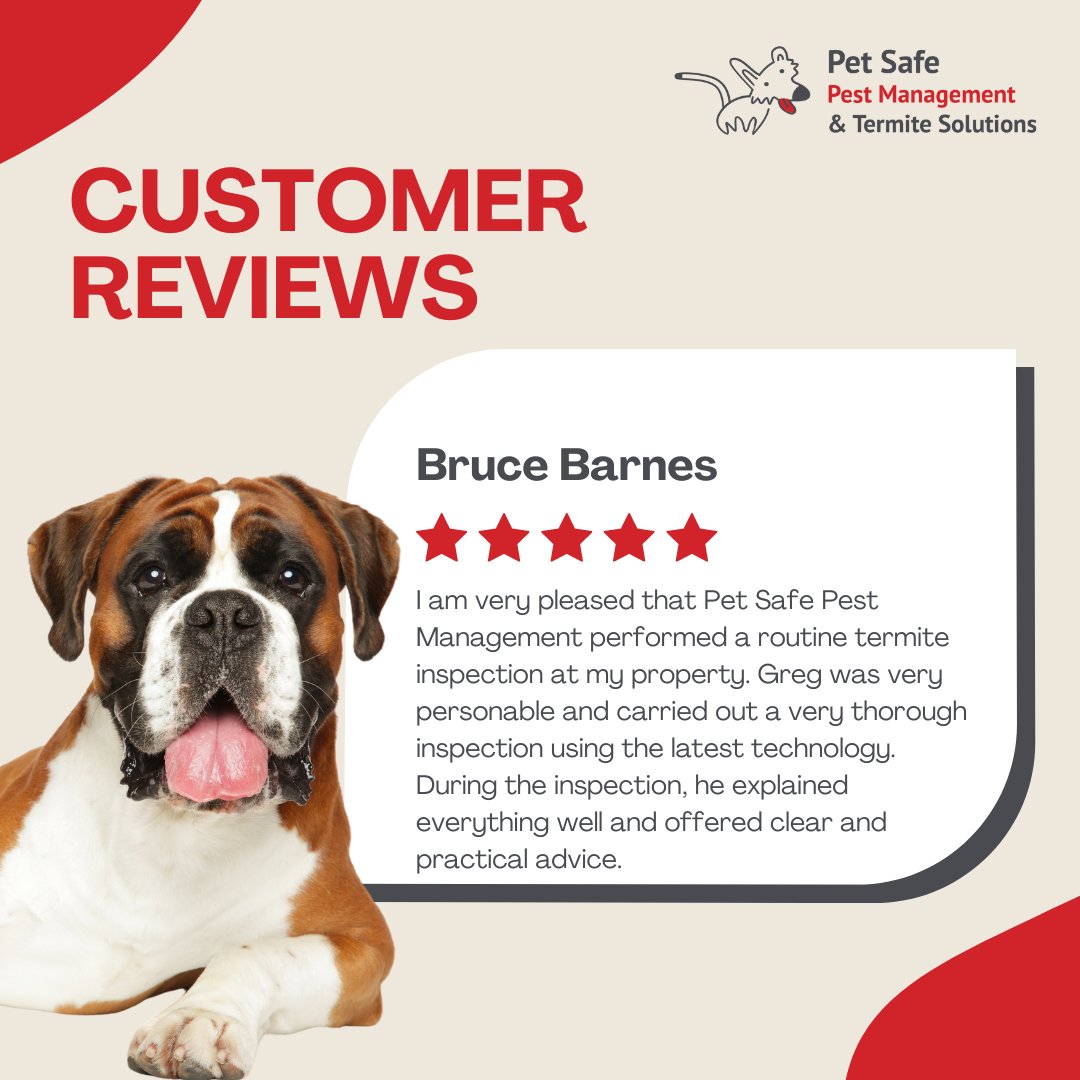 PetPest's tweet photo. 🌟 Big thanks to Bruce for the positive shout-out! 🐾✨

Check our Pet-Friendly Pest Management solutions: https://t.co/5UYBZgqpgs

👉 See what others say: https://t.co/cx7O4qRqXl

#CustomerAppreciation #HappyCustomers #PetSafePestManagement #PetSafePestManagementTermiteSolutions https://t.co/tjFgqLfCmF