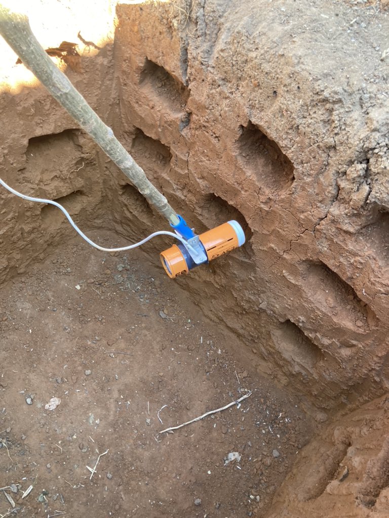 We implemented outdoor collections to understand residual #malaria  great team <a href="/ird_fr/">IRD.fr</a> <a href="/MIVEGEC/">MIVEGEC</a> <a href="/pasteurMG/">Institut Pasteur Madagascar🇲🇬</a>