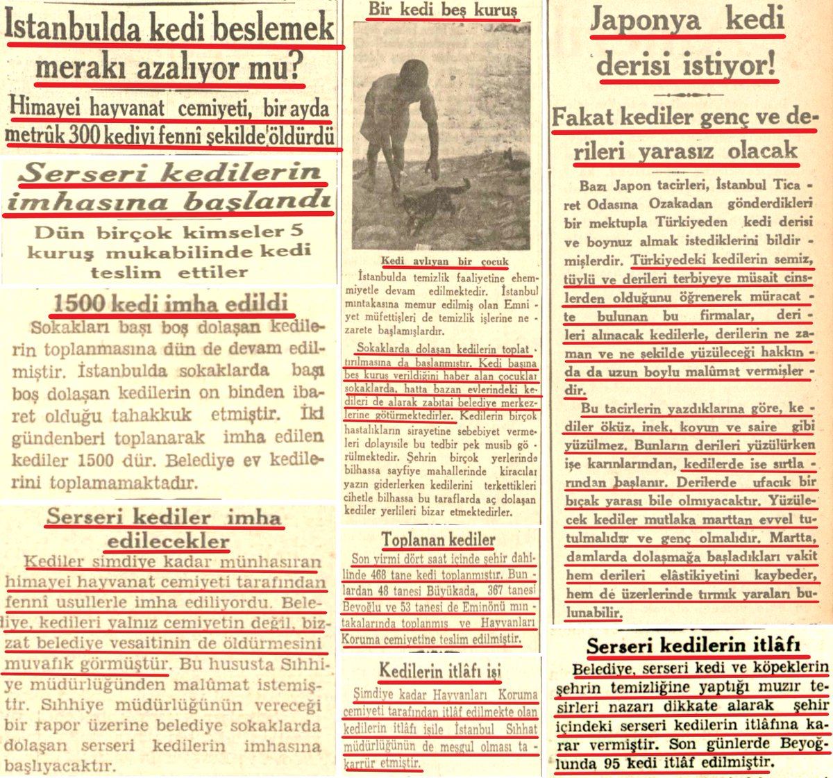 CHP sokak hayvanları katliamı yapar da kedileri es geçer mi? Belediye daha fazla kedi öldürülmesi için 'kedi başına 5 kuruş ödül' bile koymuş! Bundan haberdar olan Japonya da Türkiye'den 'besili ve semiz' kedi derisi ithali için yetkililere müracaat etmiş! (1930'lu yılların