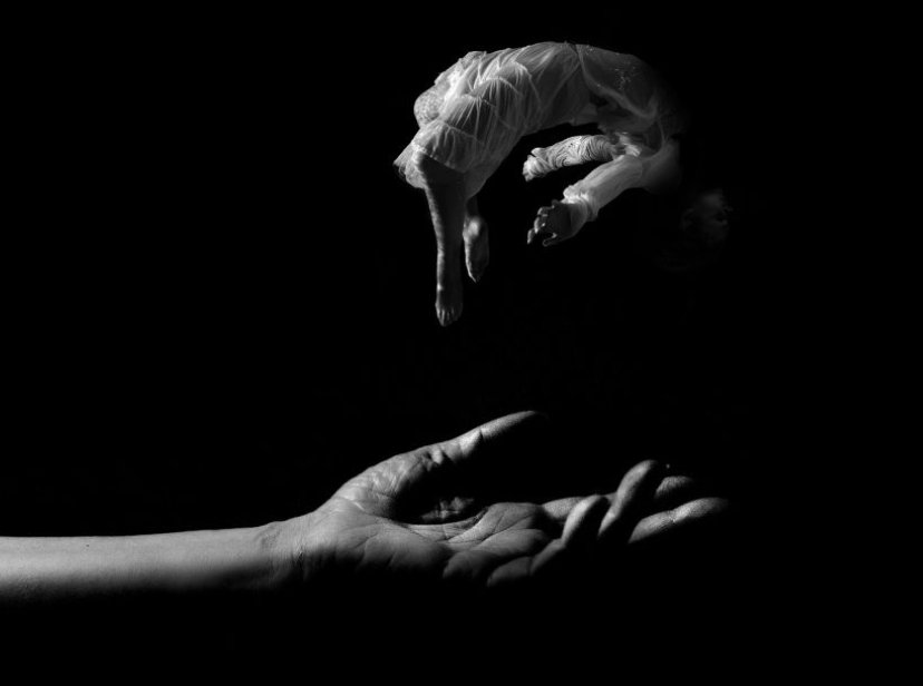 Il peccato, la fuga sembra che accenda in Dio una fiamma di più intenso amore, un desiderio di riaverci e di reinserirci nel suo piano di salvezza.
San Paolo VI