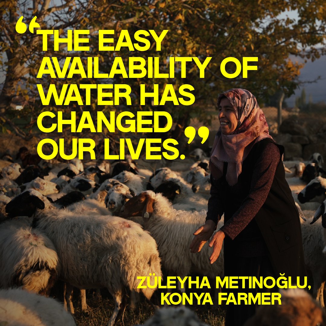 Züleyha’s success in Konya shows how sustainable water usage transforms lives. Shifting to modern irrigation has boosted her harvests and supports her livestock. Learn how water management is changing Türkiye’s rural landscape: wrld.bg/Pv5s50RGnJh